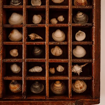 Prawdziwe Morze ساسينو