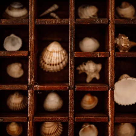 Prawdziwe Morze بيت للعطل