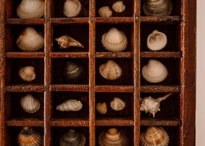 Prawdziwe Morze サシノ