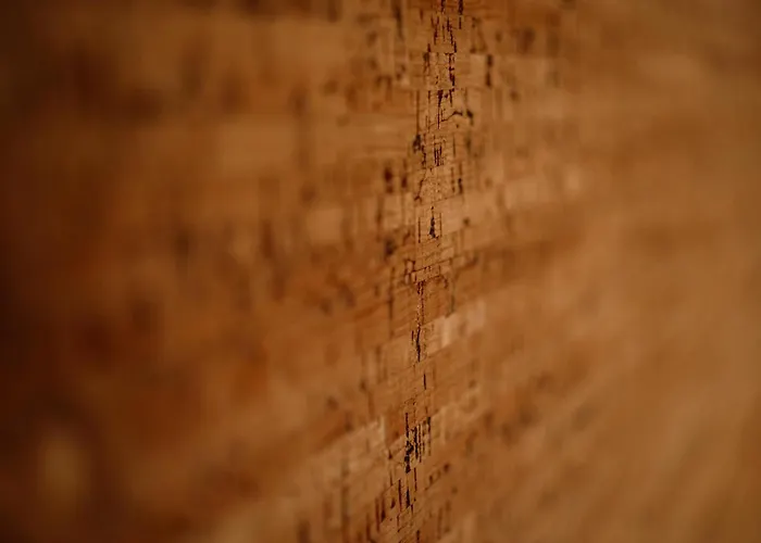 Prawdziwe Morze * 萨希诺