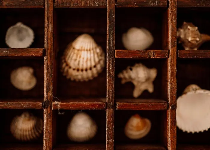 Prawdziwe Morze 度假居